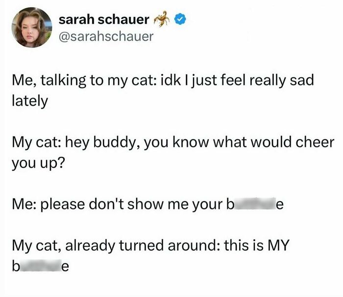135 Cute And Funny Cat Memes That Are Way Cheaper Than Therapy
