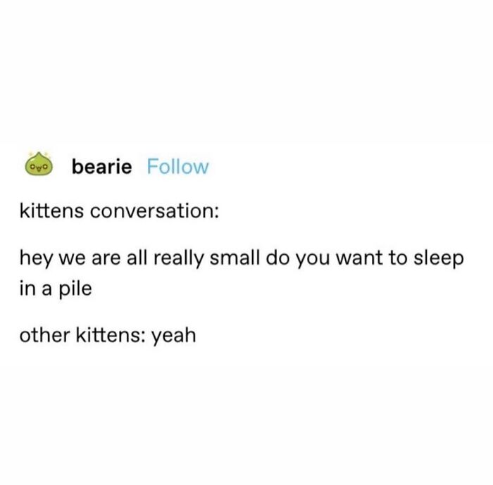 135 Cute And Funny Cat Memes That Are Way Cheaper Than Therapy