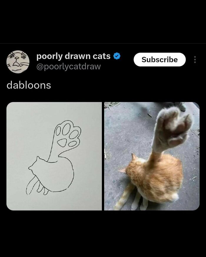 135 Cute And Funny Cat Memes That Are Way Cheaper Than Therapy