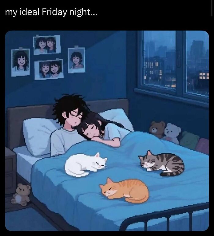 135 Cute And Funny Cat Memes That Are Way Cheaper Than Therapy