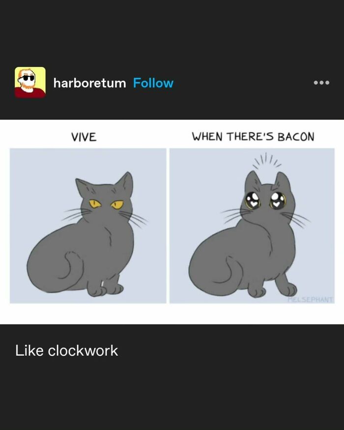 135 Cute And Funny Cat Memes That Are Way Cheaper Than Therapy
