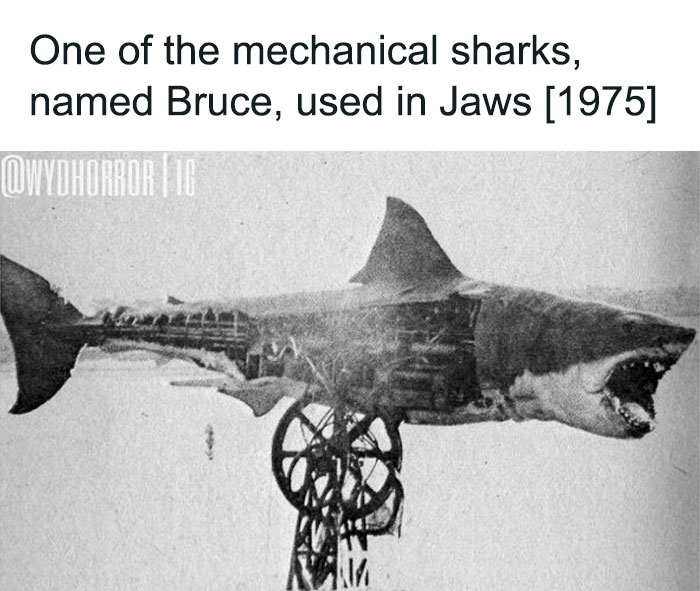 124 Random Creepy Facts And Pics To Deprive Somebody Of Sleep