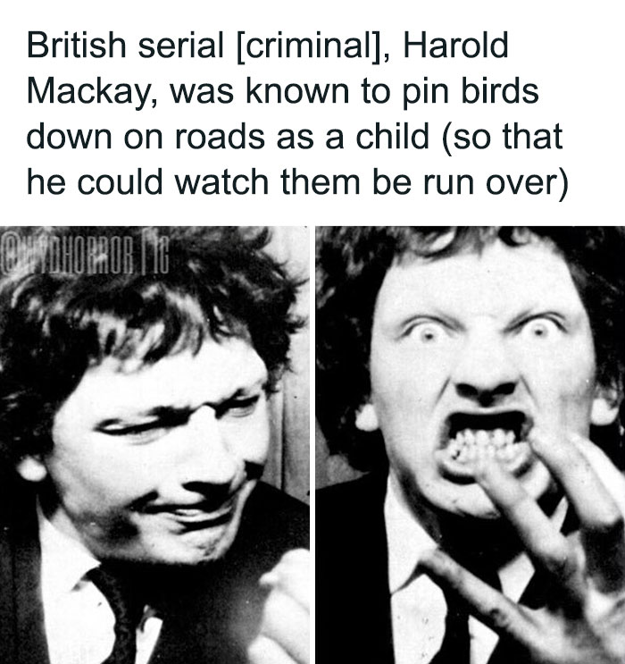 124 Random Creepy Facts And Pics To Deprive Somebody Of Sleep