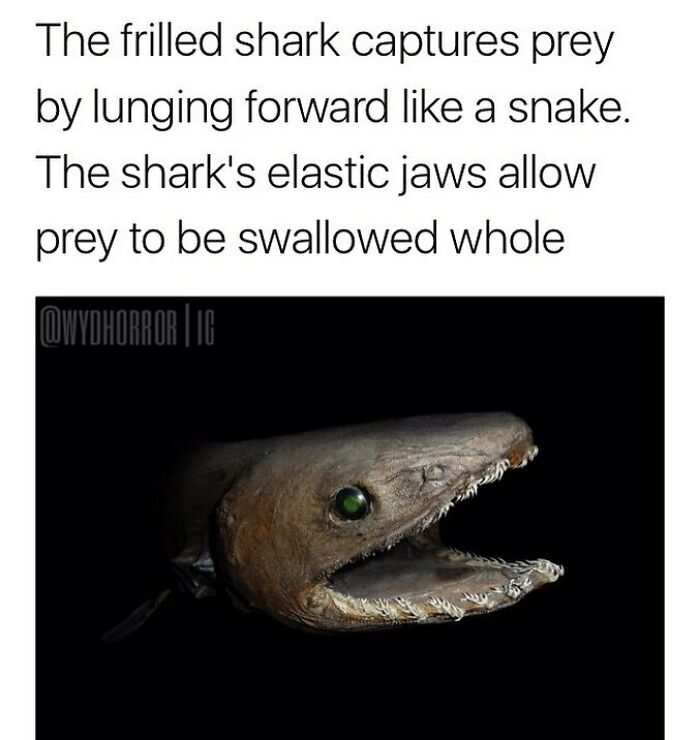 124 Random Creepy Facts And Pics To Deprive Somebody Of Sleep