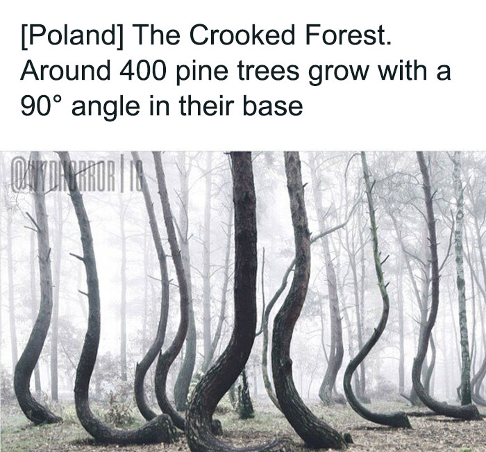 124 Random Creepy Facts And Pics To Deprive Somebody Of Sleep