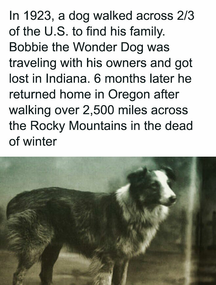 124 Random Creepy Facts And Pics To Deprive Somebody Of Sleep