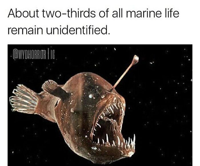 124 Random Creepy Facts And Pics To Deprive Somebody Of Sleep