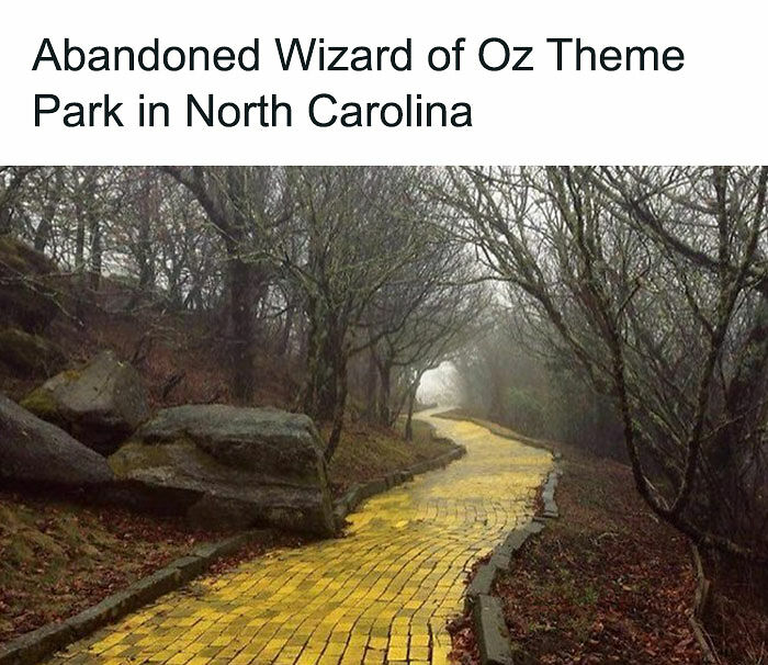 124 Random Creepy Facts And Pics To Deprive Somebody Of Sleep