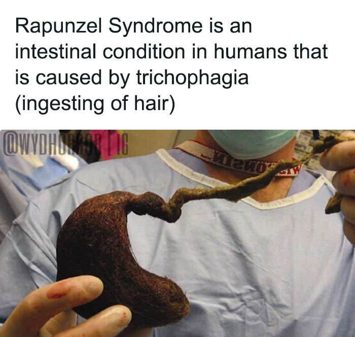 124 Random Creepy Facts And Pics To Deprive Somebody Of Sleep