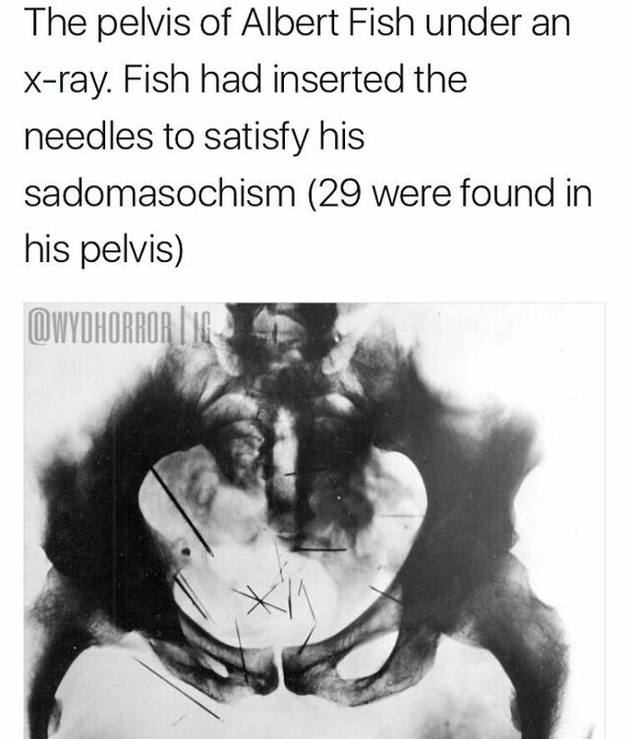 124 Random Creepy Facts And Pics To Deprive Somebody Of Sleep