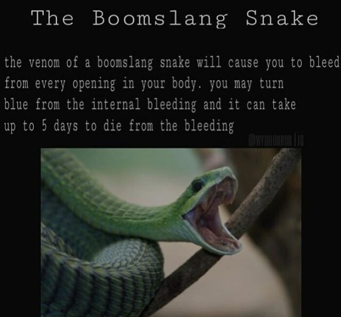 124 Random Creepy Facts And Pics To Deprive Somebody Of Sleep