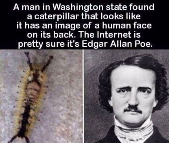 124 Random Creepy Facts And Pics To Deprive Somebody Of Sleep