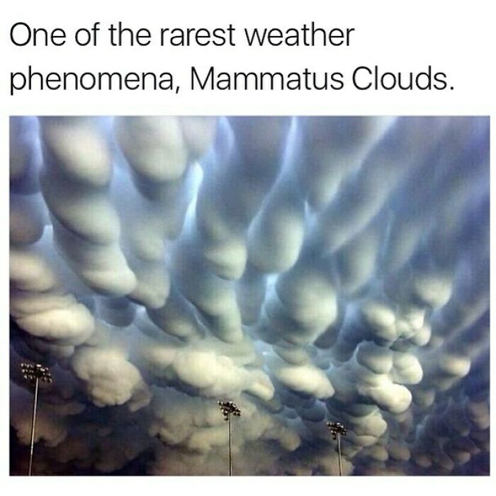 124 Random Creepy Facts And Pics To Deprive Somebody Of Sleep