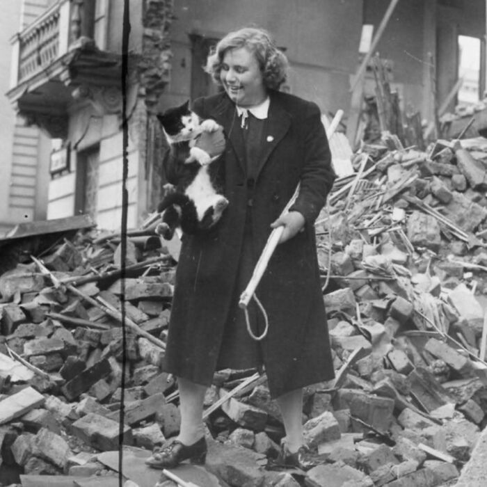 50 Vintage Cats For Your Viewing Pleasure, In Case You Thought They Were Less Cute In Centuries Past