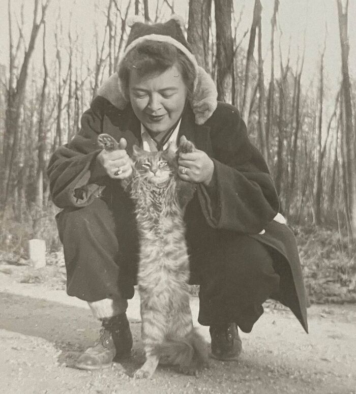 50 Vintage Cats For Your Viewing Pleasure, In Case You Thought They Were Less Cute In Centuries Past