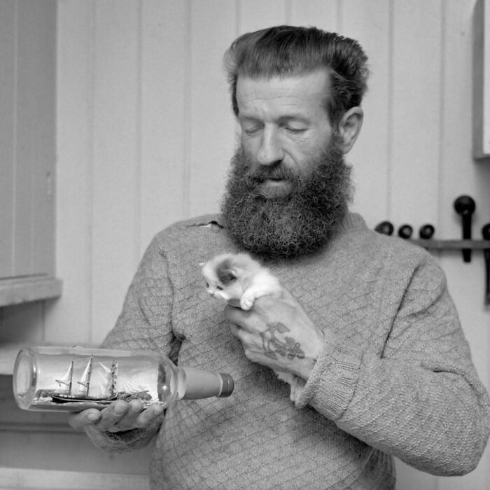 50 Vintage Cats For Your Viewing Pleasure, In Case You Thought They Were Less Cute In Centuries Past