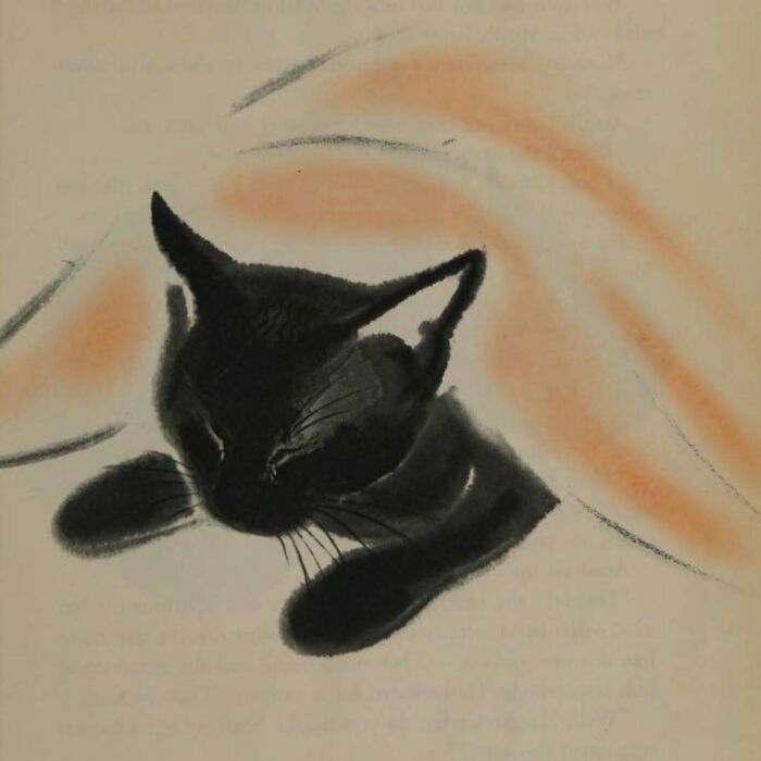 50 Vintage Cats For Your Viewing Pleasure, In Case You Thought They Were Less Cute In Centuries Past