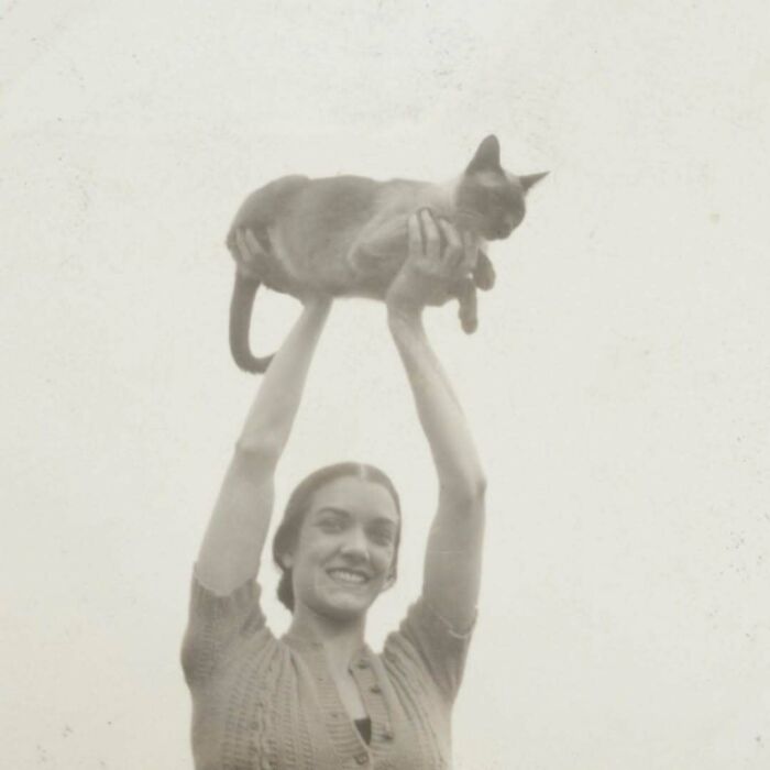 50 Vintage Cats For Your Viewing Pleasure, In Case You Thought They Were Less Cute In Centuries Past