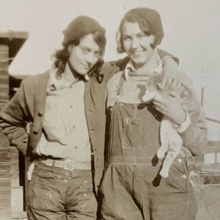 50 Vintage Cats For Your Viewing Pleasure, In Case You Thought They Were Less Cute In Centuries Past