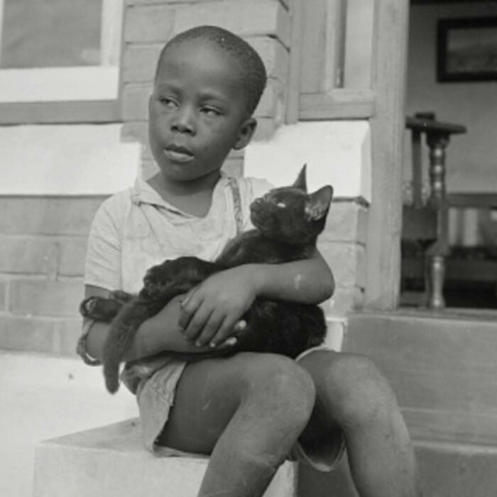 50 Vintage Cats For Your Viewing Pleasure, In Case You Thought They Were Less Cute In Centuries Past