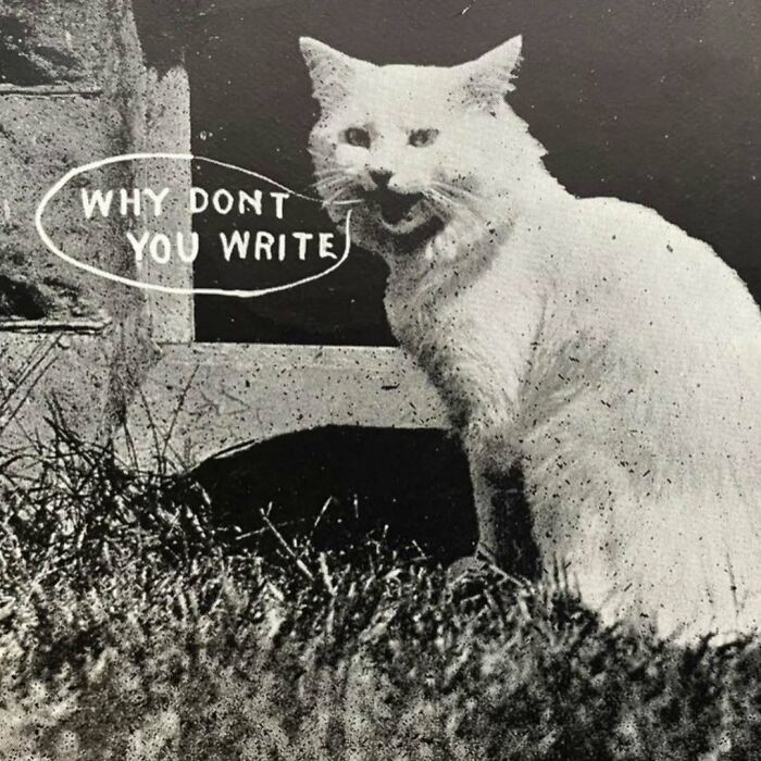 50 Vintage Cats For Your Viewing Pleasure, In Case You Thought They Were Less Cute In Centuries Past