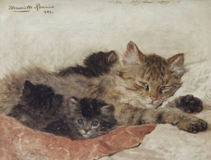 50 Vintage Cats For Your Viewing Pleasure, In Case You Thought They Were Less Cute In Centuries Past