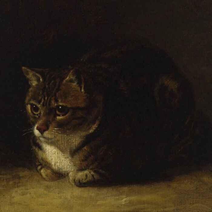 50 Vintage Cats For Your Viewing Pleasure, In Case You Thought They Were Less Cute In Centuries Past