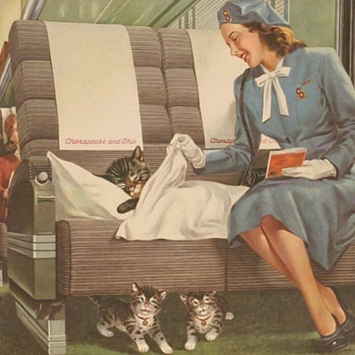 50 Vintage Cats For Your Viewing Pleasure, In Case You Thought They Were Less Cute In Centuries Past