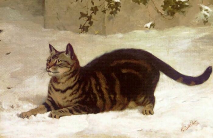 50 Vintage Cats For Your Viewing Pleasure, In Case You Thought They Were Less Cute In Centuries Past