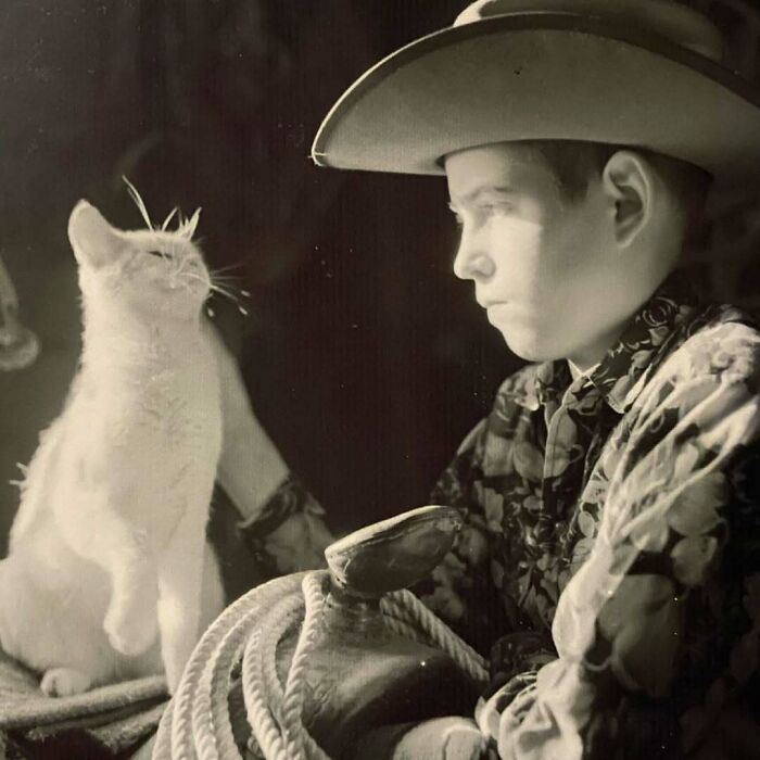 50 Vintage Cats For Your Viewing Pleasure, In Case You Thought They Were Less Cute In Centuries Past