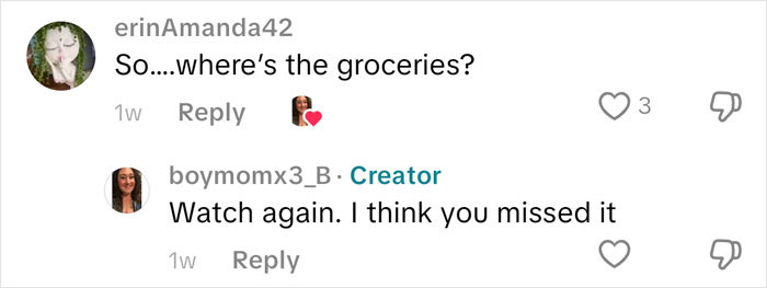 Woman Spends Nearly $500 On Groceries, Internet Asks “So&#8230; Where’s The Food?”