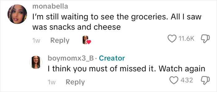 Woman Spends Nearly $500 On Groceries, Internet Asks “So&#8230; Where’s The Food?”