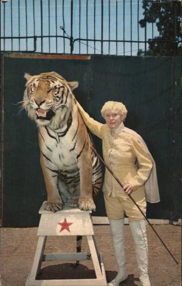 60 Images Of LA Women Living Their Best Lives In 1962