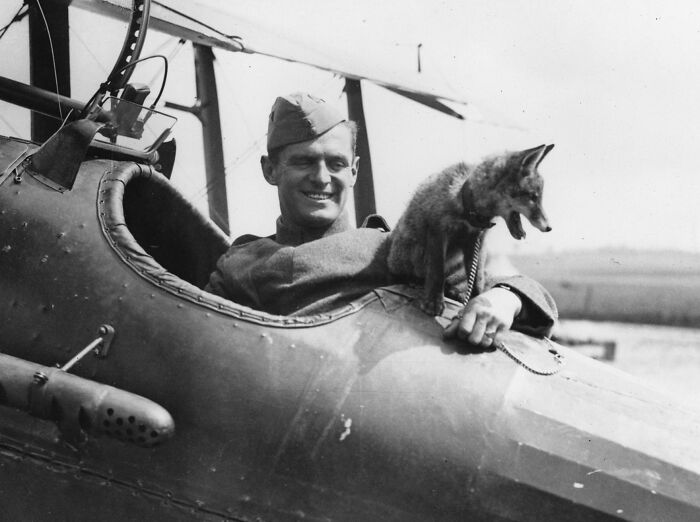40 Photos That Reveal Daily Life Beyond The WWI Trenches