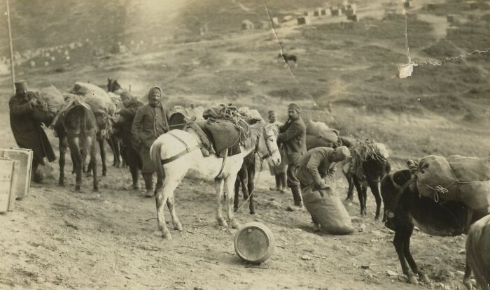 40 Photos That Reveal Daily Life Beyond The WWI Trenches