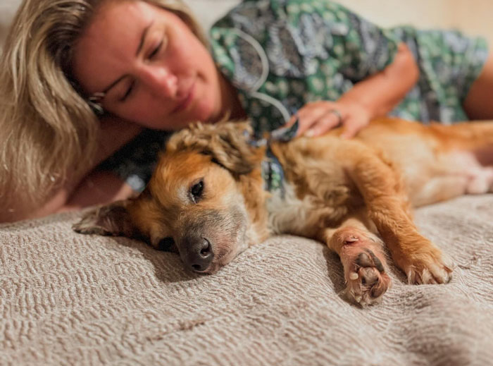Netizens’ Hearts Melt As Small Scared Pup Gets A Loving Dire Wolf As Protector