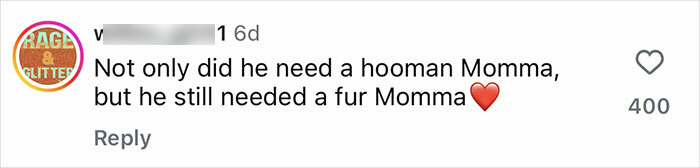 Netizens’ Hearts Melt As Small Scared Pup Gets A Loving Dire Wolf As Protector