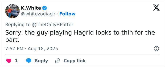 &#8220;Deflated&#8221;: New Photos Of The Actors And Set Of The &#8216;Harry Potter&#8217; Series Spark Mixed Reactions