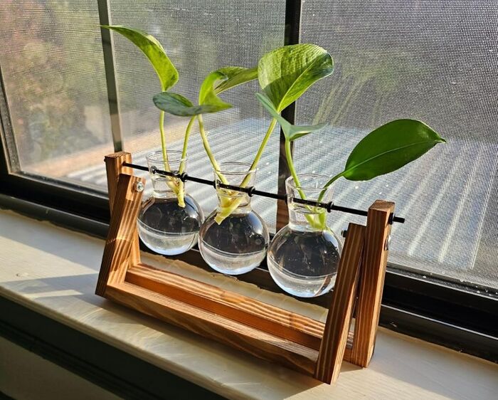 22 Genius Designs That Turned The Most Boring Items Into Something Amazing