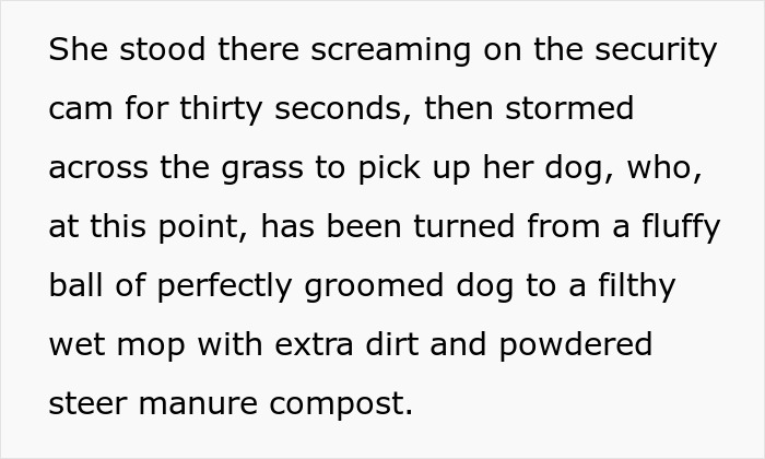 “I Hit The Button”: Man’s Petty Revenge On Entitled Dog Owner Works Like A Charm