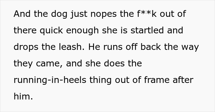 “I Hit The Button”: Man’s Petty Revenge On Entitled Dog Owner Works Like A Charm