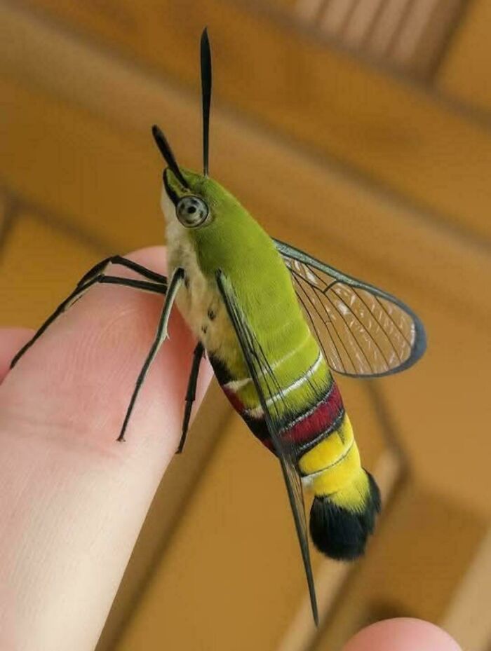 59 Fascinating Insects That Deserve More Appreciation And Less Fear