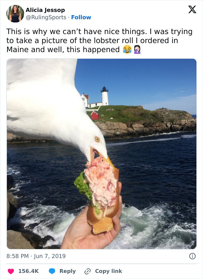 72 Funny Ways People Learned Their Lesson