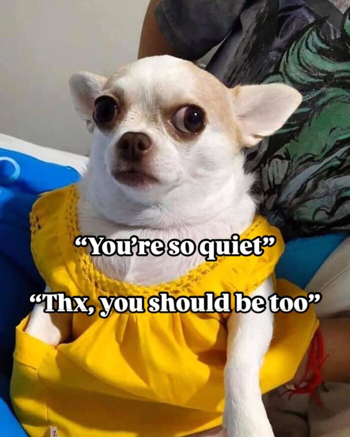 &#8220;I&#8217;m Not Like A Regular Mom, I&#8217;m A Cool Mom&#8221;: 93 Memes That Perfectly Capture What It&#8217;s Like Being A Parent