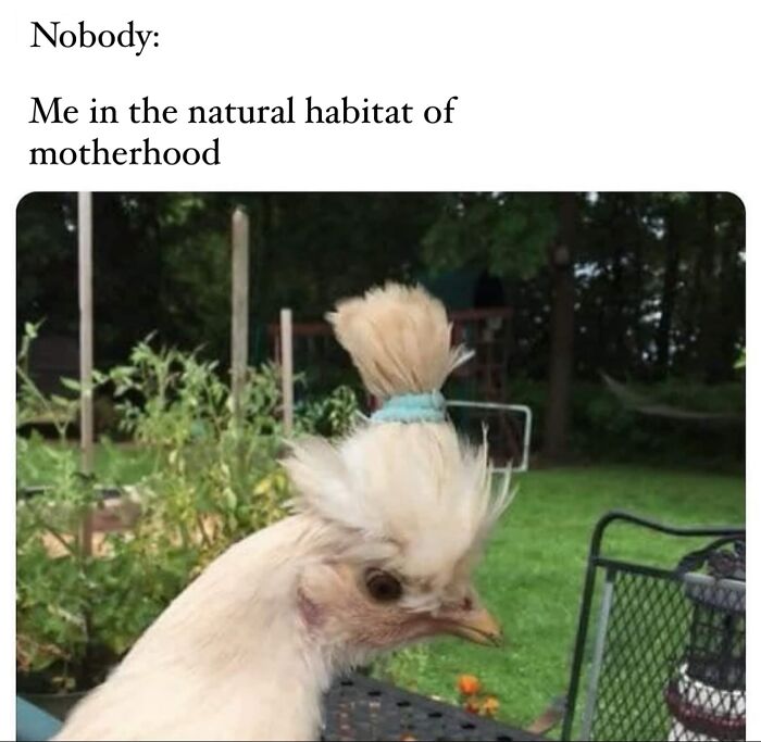 &#8220;I&#8217;m Not Like A Regular Mom, I&#8217;m A Cool Mom&#8221;: 93 Memes That Perfectly Capture What It&#8217;s Like Being A Parent