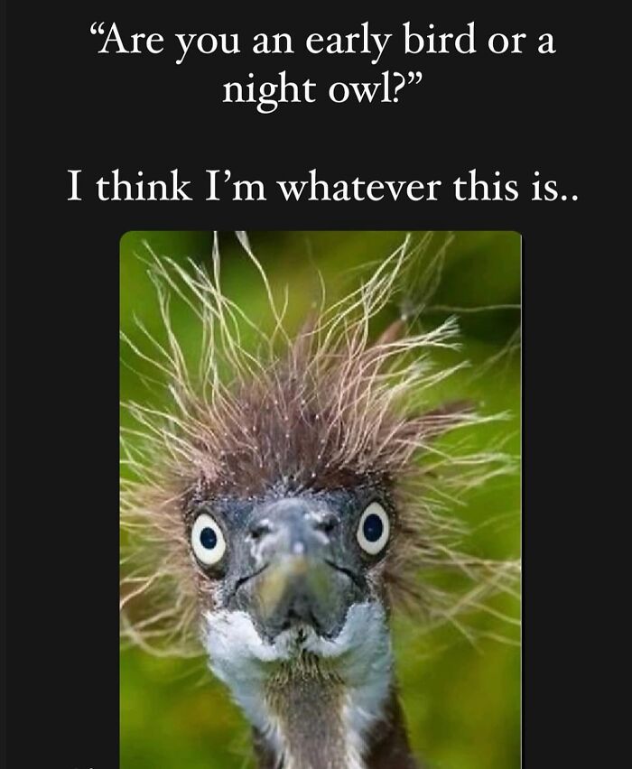 &#8220;I&#8217;m Not Like A Regular Mom, I&#8217;m A Cool Mom&#8221;: 93 Memes That Perfectly Capture What It&#8217;s Like Being A Parent