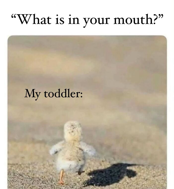 &#8220;I&#8217;m Not Like A Regular Mom, I&#8217;m A Cool Mom&#8221;: 93 Memes That Perfectly Capture What It&#8217;s Like Being A Parent