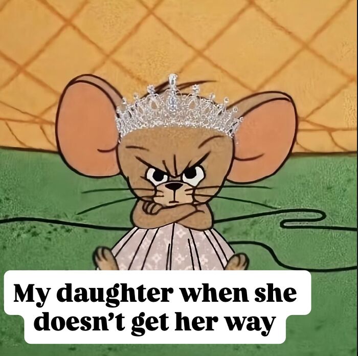 &#8220;I&#8217;m Not Like A Regular Mom, I&#8217;m A Cool Mom&#8221;: 93 Memes That Perfectly Capture What It&#8217;s Like Being A Parent