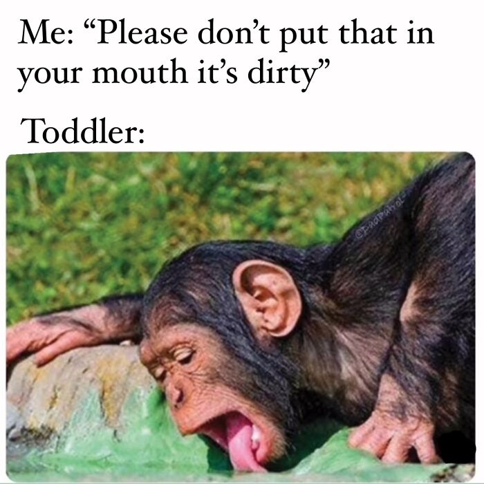 &#8220;I&#8217;m Not Like A Regular Mom, I&#8217;m A Cool Mom&#8221;: 93 Memes That Perfectly Capture What It&#8217;s Like Being A Parent
