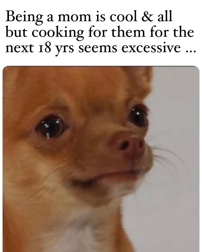 &#8220;I&#8217;m Not Like A Regular Mom, I&#8217;m A Cool Mom&#8221;: 93 Memes That Perfectly Capture What It&#8217;s Like Being A Parent